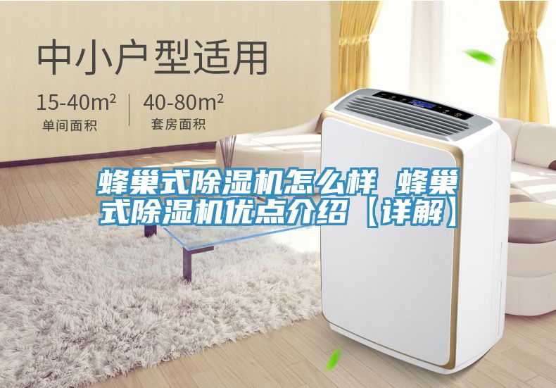 蜂巢式91看片软件大全怎麽樣 蜂巢式91看片软件大全優點介紹【詳解】