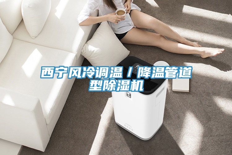 西寧風冷調溫／降溫管道型91看片软件大全