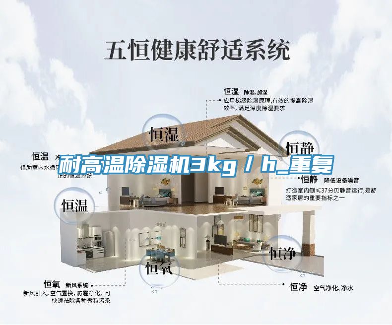 耐高溫91看片软件大全3kg／h_重複