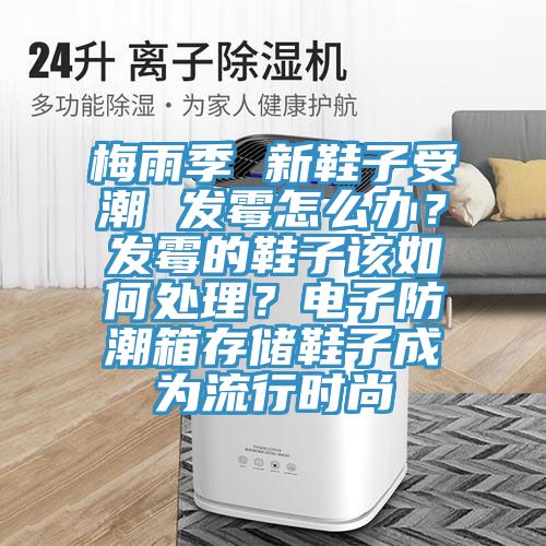梅雨季 新鞋子受潮 發黴怎麽辦？發黴的鞋子該如何處理？電子防潮箱存儲鞋子成為流行時尚