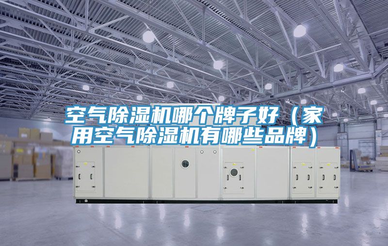空氣91看片软件大全哪個牌子好（家用空氣91看片软件大全有哪些品牌）