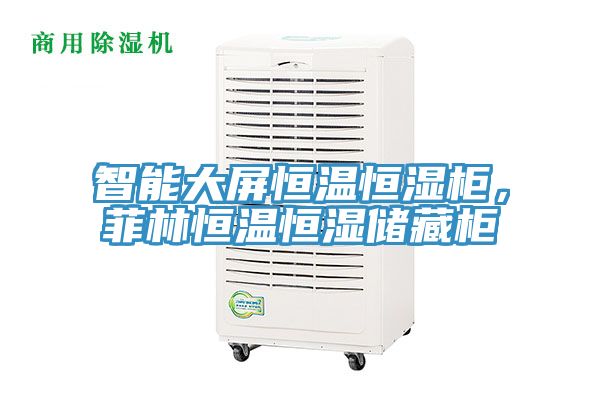 智能大屏恒溫恒濕櫃，菲林恒溫恒濕儲藏櫃