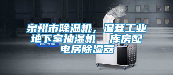 泉州市91看片软件大全，濕菱工業地下室抽濕機  庫房配電房除濕器