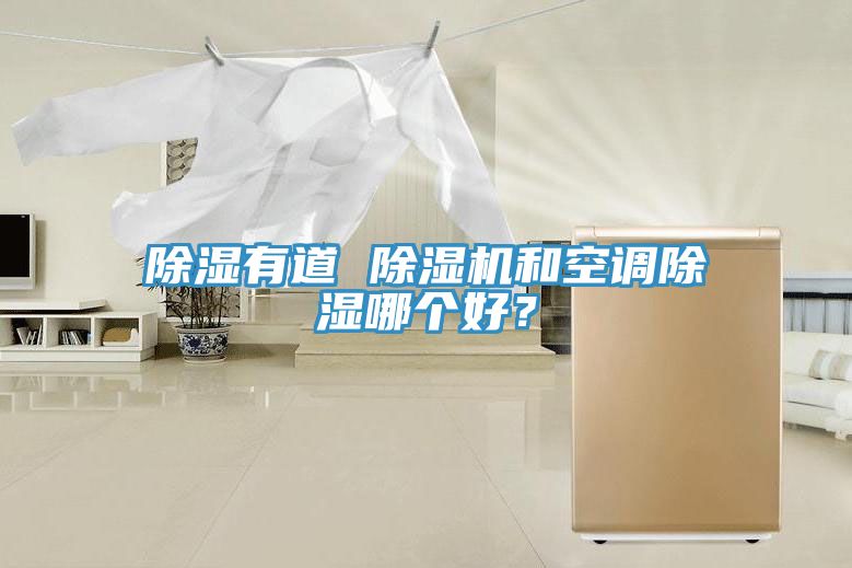 除濕有道 91看片软件大全和空調除濕哪個好？