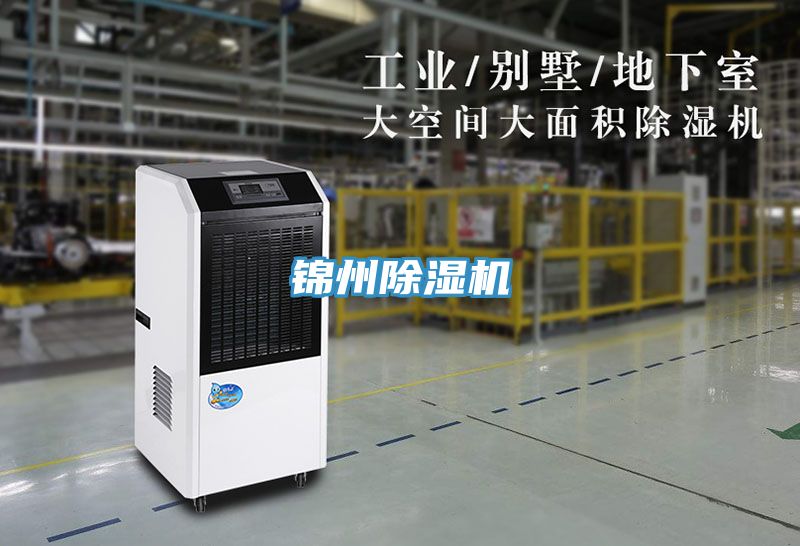 錦州91看片软件大全