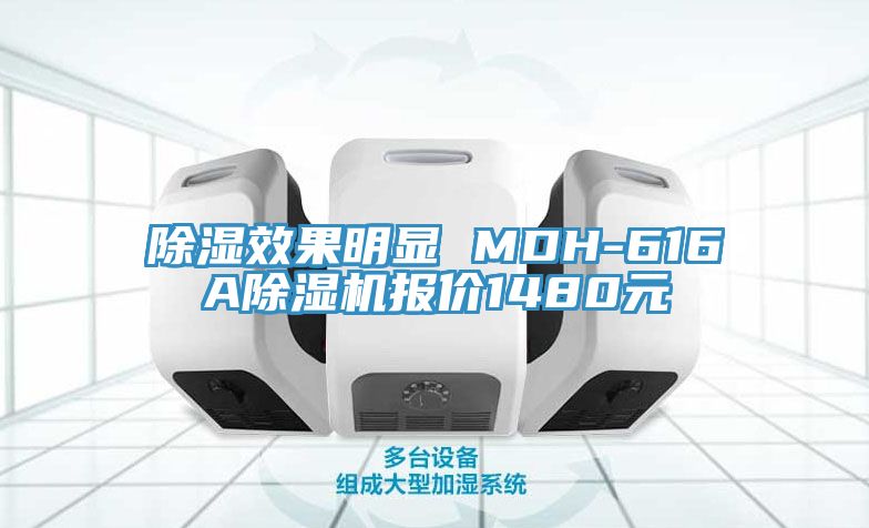 除濕效果明顯 MDH-616A91看片软件大全報價1480元