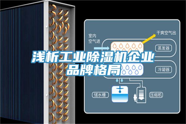 淺析工業91看片软件大全企業品牌格局