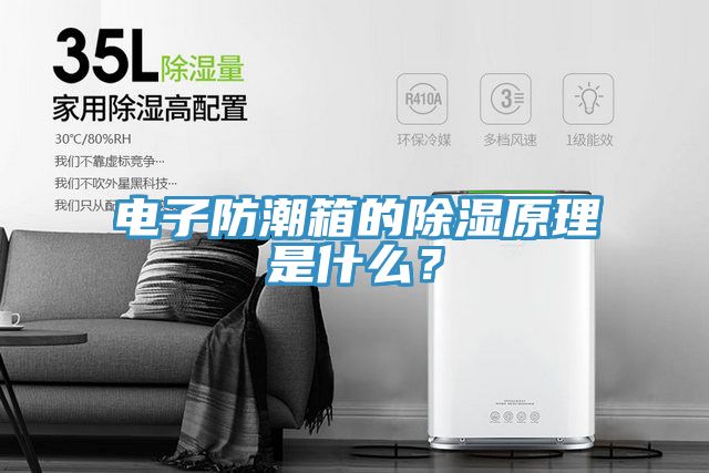 電子防潮箱的除濕原理是什麽？