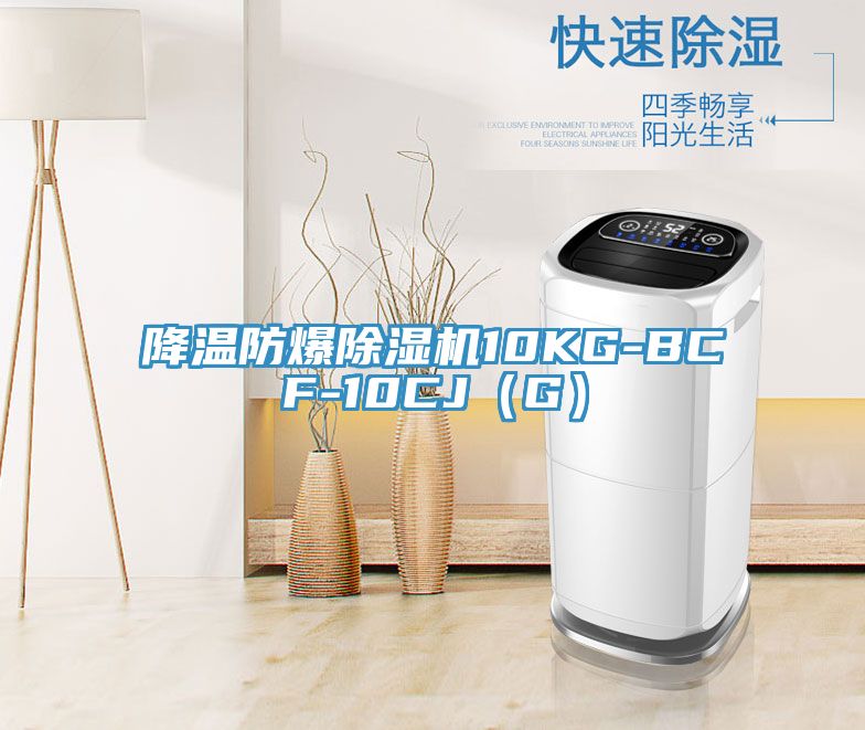 降溫防爆91看片软件大全10KG-BCF-10CJ（G）