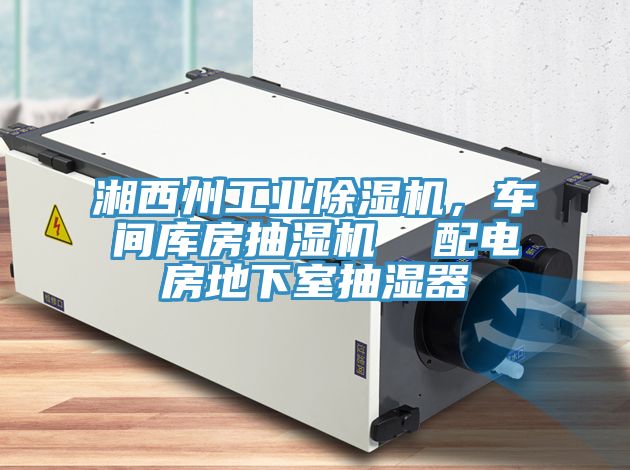 湘西州工業91看片软件大全，車間庫房抽濕機  配電房地下室抽濕器