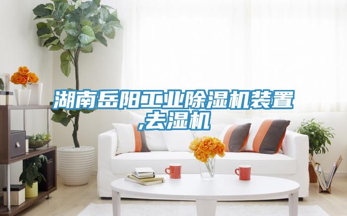 湖南嶽陽工業91看片软件大全裝置,去濕機