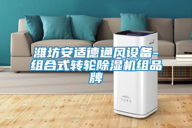 濰坊安適德通風設備-組合式轉輪91看片软件大全組品牌