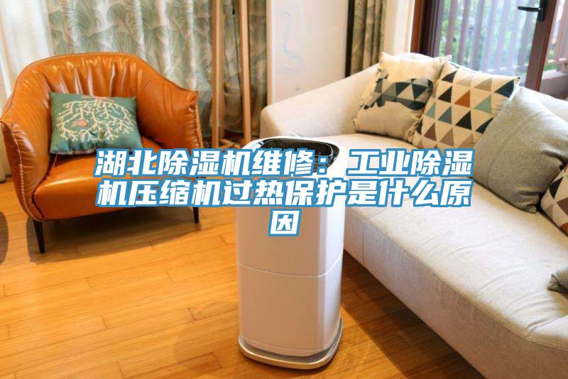 湖北91看片软件大全維修：工業91看片软件大全壓縮機過熱保護是什麽原因