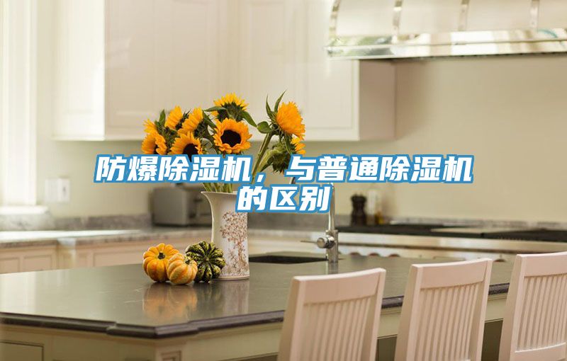 防爆91看片软件大全，與普通91看片软件大全的區別
