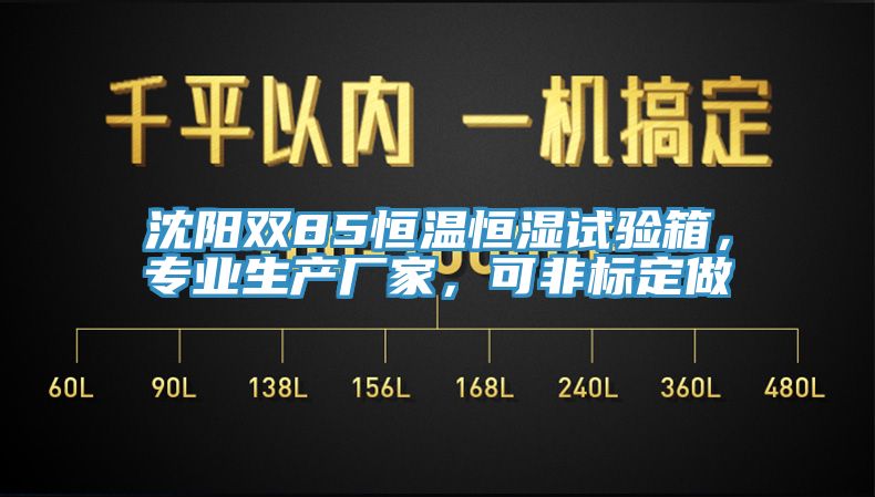 沈陽雙85恒溫恒濕試驗箱，專業生產廠家，可非標定做