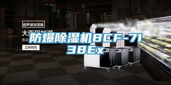 防爆91看片软件大全BCF-7138Ex