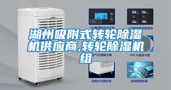 湖州吸附式轉輪91看片软件大全供應商,轉輪91看片软件大全組