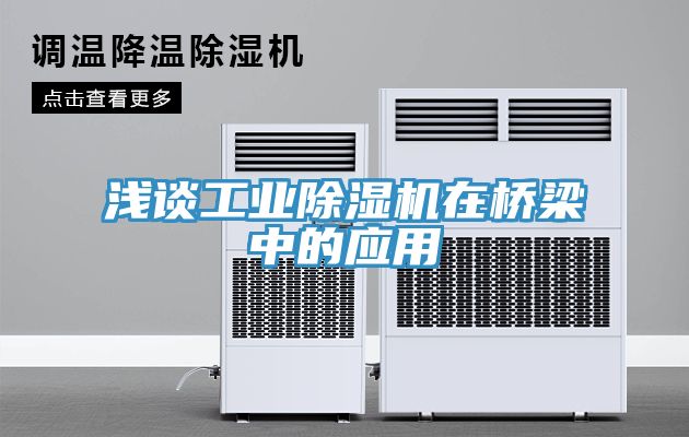 淺談工業91看片软件大全在橋梁中的應用