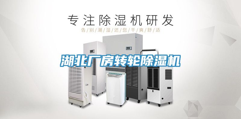 湖北廠房轉輪91看片软件大全
