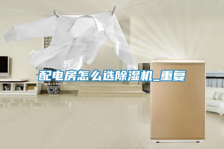 配電房怎麽選91看片软件大全_重複