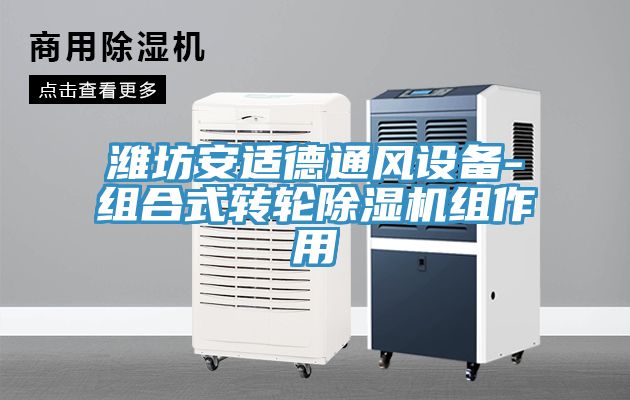 濰坊安適德通風設備-組合式轉輪91看片软件大全組作用