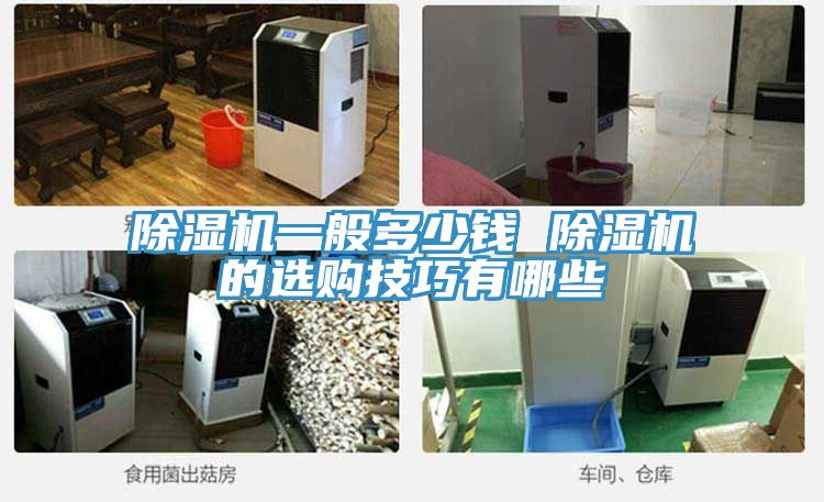 91看片软件大全一般多少錢 91看片软件大全的選購技巧有哪些