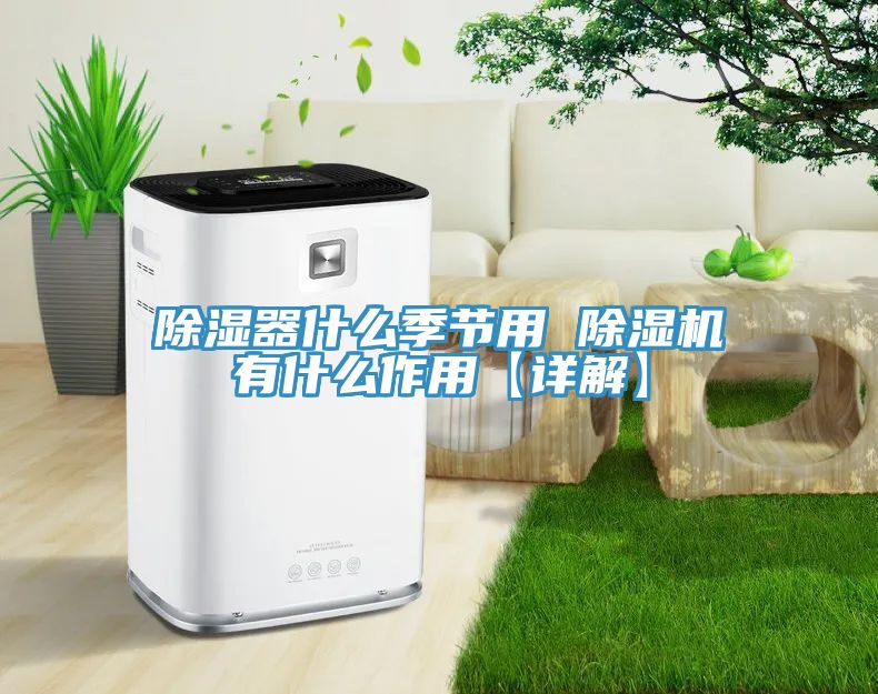 除濕器什麽季節用 91看片软件大全有什麽作用【詳解】