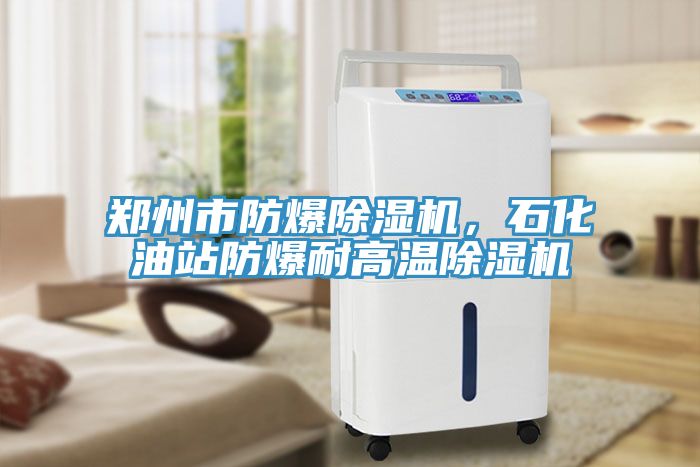 鄭州市防爆91看片软件大全，石化油站防爆耐高溫91看片软件大全