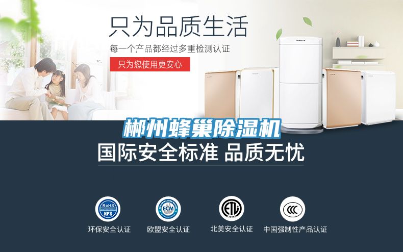 郴州蜂巢91看片软件大全