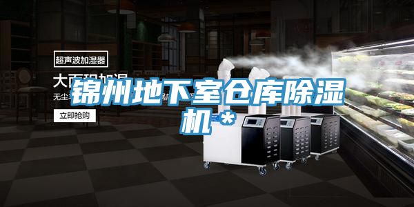 錦州地下室倉庫91看片软件大全＊