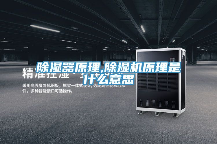 除濕器原理,91看片软件大全原理是什麽意思