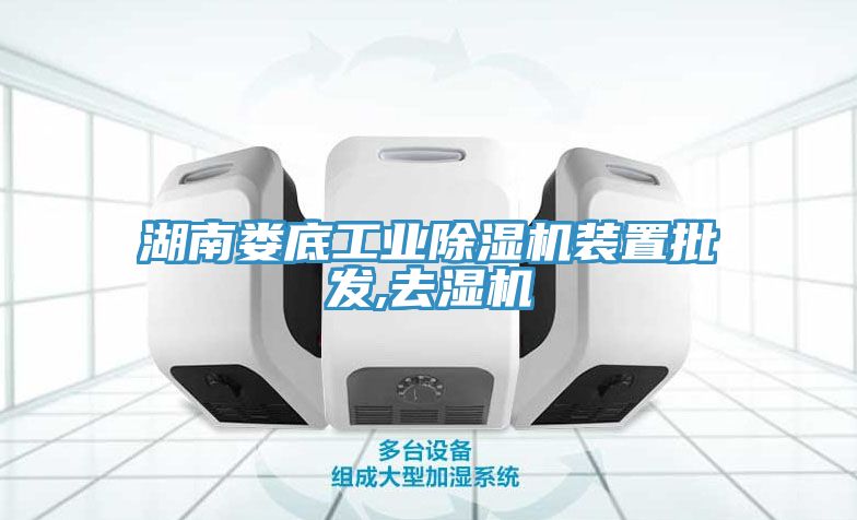 湖南婁底工業91看片软件大全裝置批發,去濕機