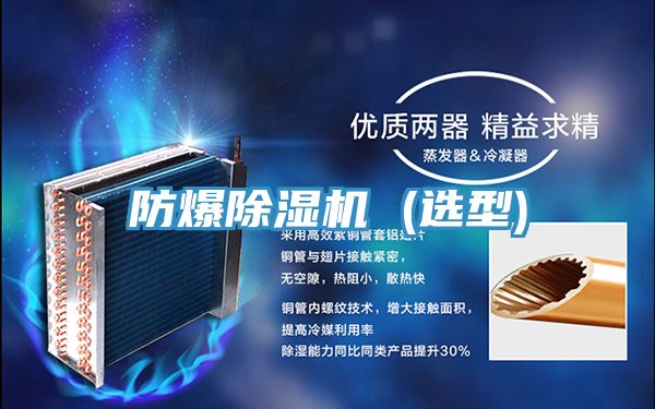 防爆91看片软件大全 (選型)
