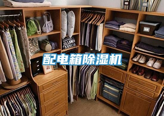 配電箱91看片软件大全