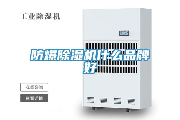 防爆91看片软件大全什麽品牌好