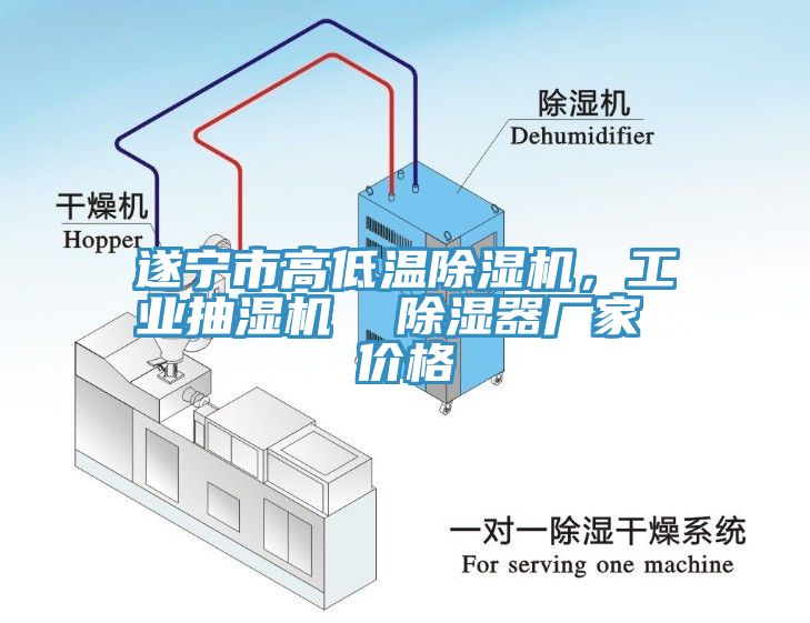 遂寧市高低溫91看片软件大全，工業抽濕機  除濕器廠家 價格