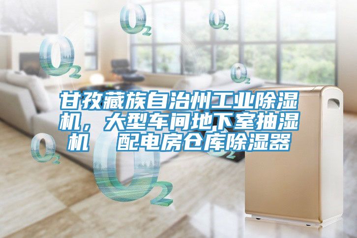 甘孜藏族自治州工業91看片软件大全，大型車間地下室抽濕機  配電房倉庫除濕器