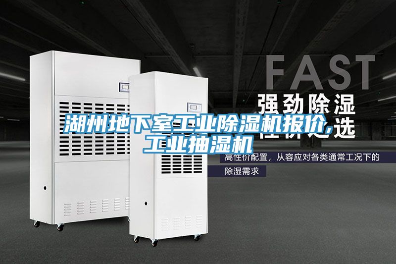 湖州地下室工業91看片软件大全報價,工業抽濕機