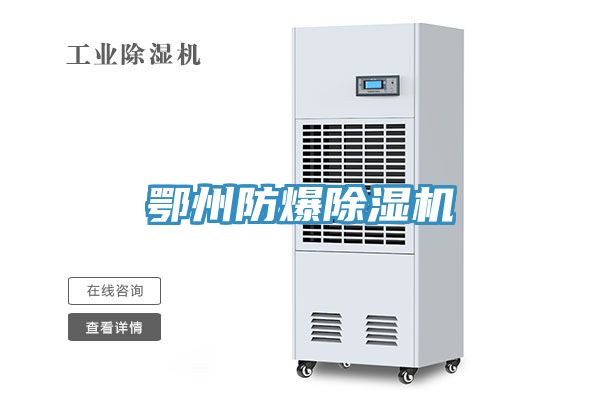 鄂州防爆91看片软件大全
