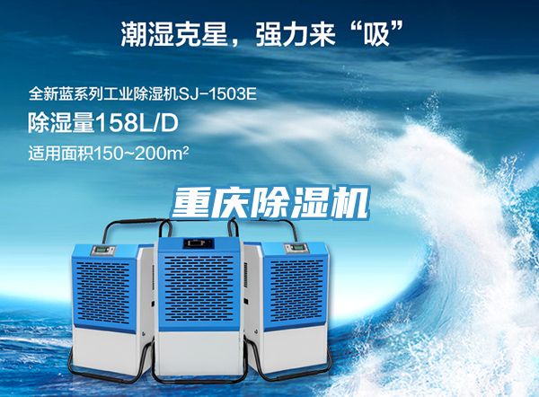 重慶91看片软件大全