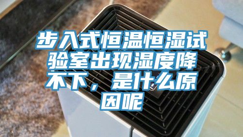 步入式恒溫恒濕試驗室出現濕度降不下，是什麽原因呢