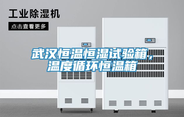 武漢恒溫恒濕試驗箱，溫度循環恒溫箱