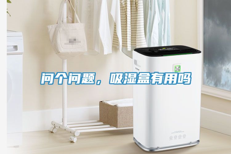 問個問題，吸濕盒有用嗎