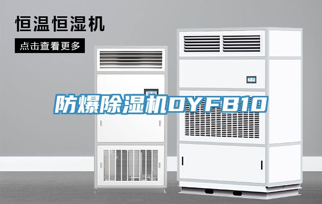 防爆91看片软件大全DYFB10