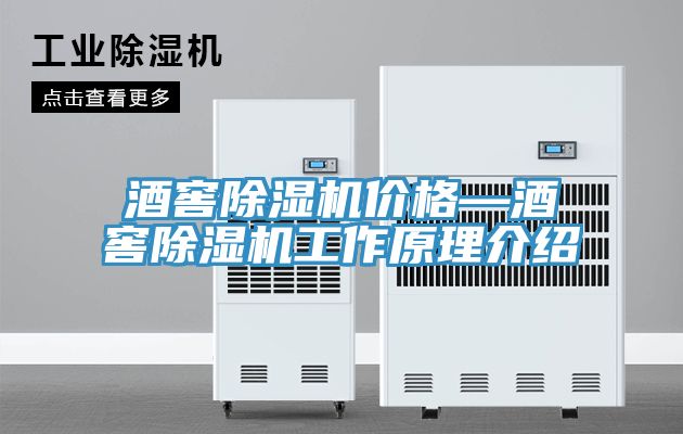酒窖91看片软件大全價格—酒窖91看片软件大全工作原理介紹