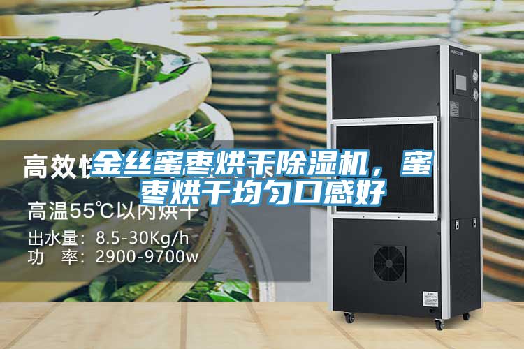 金絲蜜棗烘幹91看片软件大全，蜜棗烘幹均勻口感好