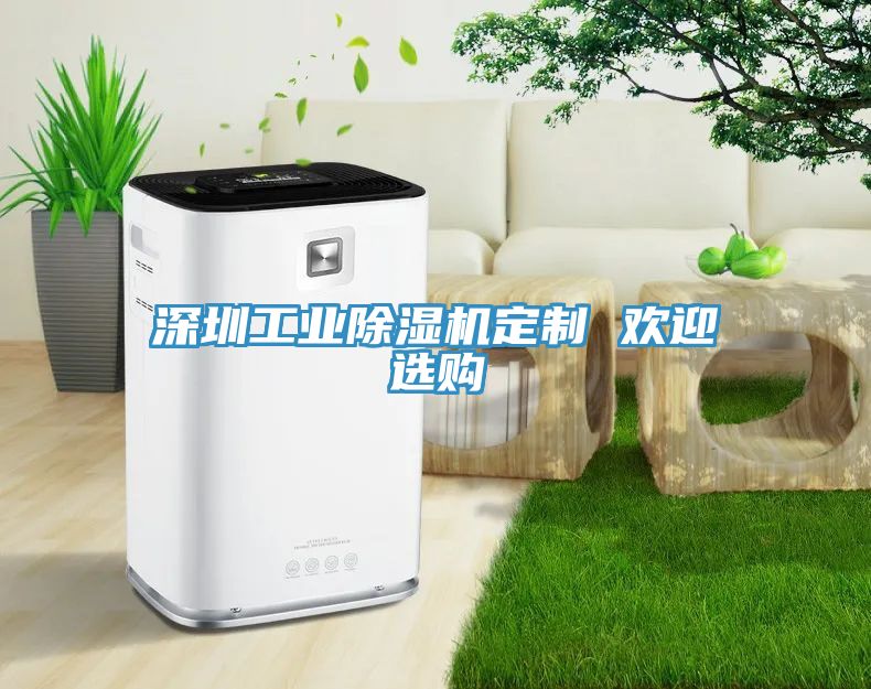 深圳工業91看片软件大全定製 歡迎選購