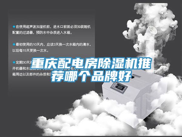 重慶配電房91看片软件大全推薦哪個品牌好
