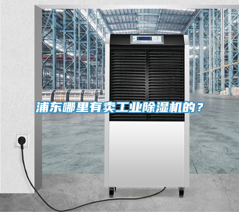 浦東哪裏有賣工業91看片软件大全的？