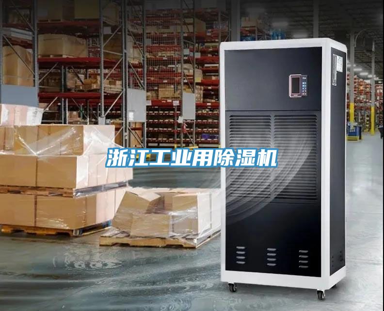 浙江工業用91看片软件大全